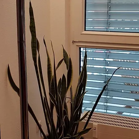 Lägenhet Apartement An Der Munzgasse